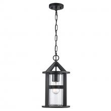 Trans Globe 51684 BK - 1LT MDRN RUSTIC HANGING LANTER